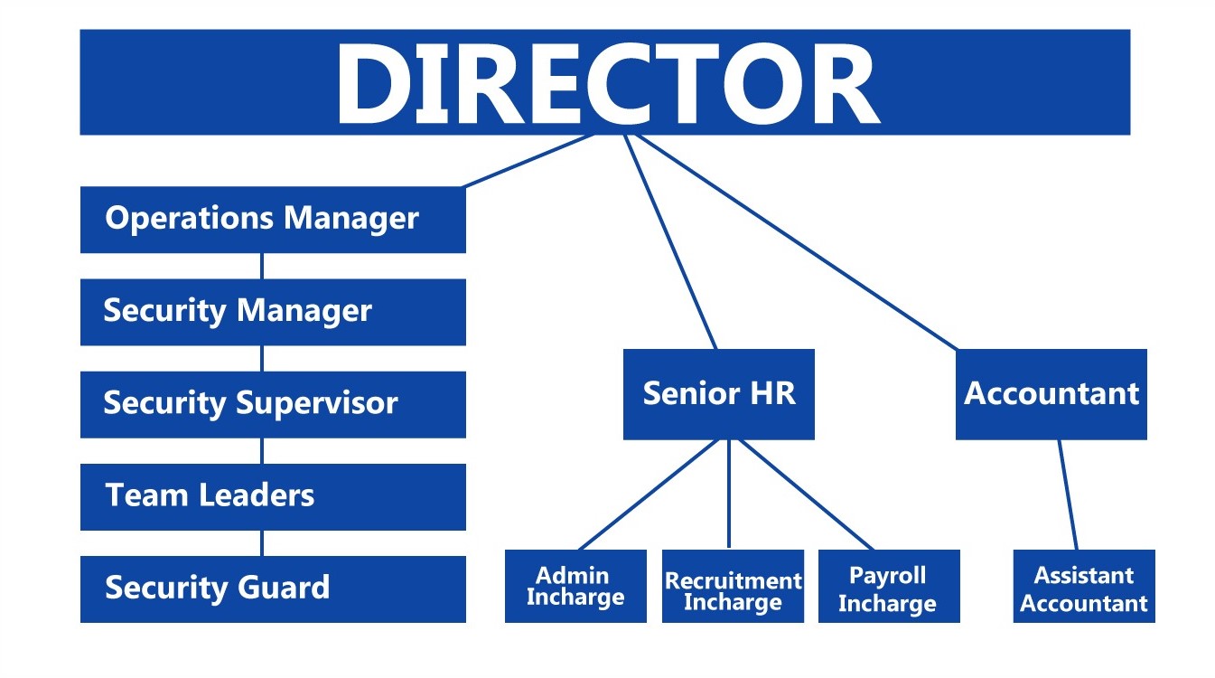 director-chat